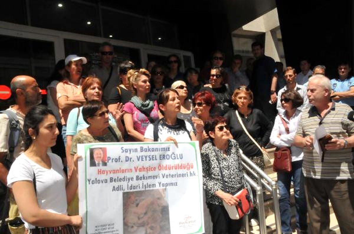 Yalova\'da Tepki Çeken Görüntülerle İlgili Veteriner İşleri Müdürü Açığa Alındı