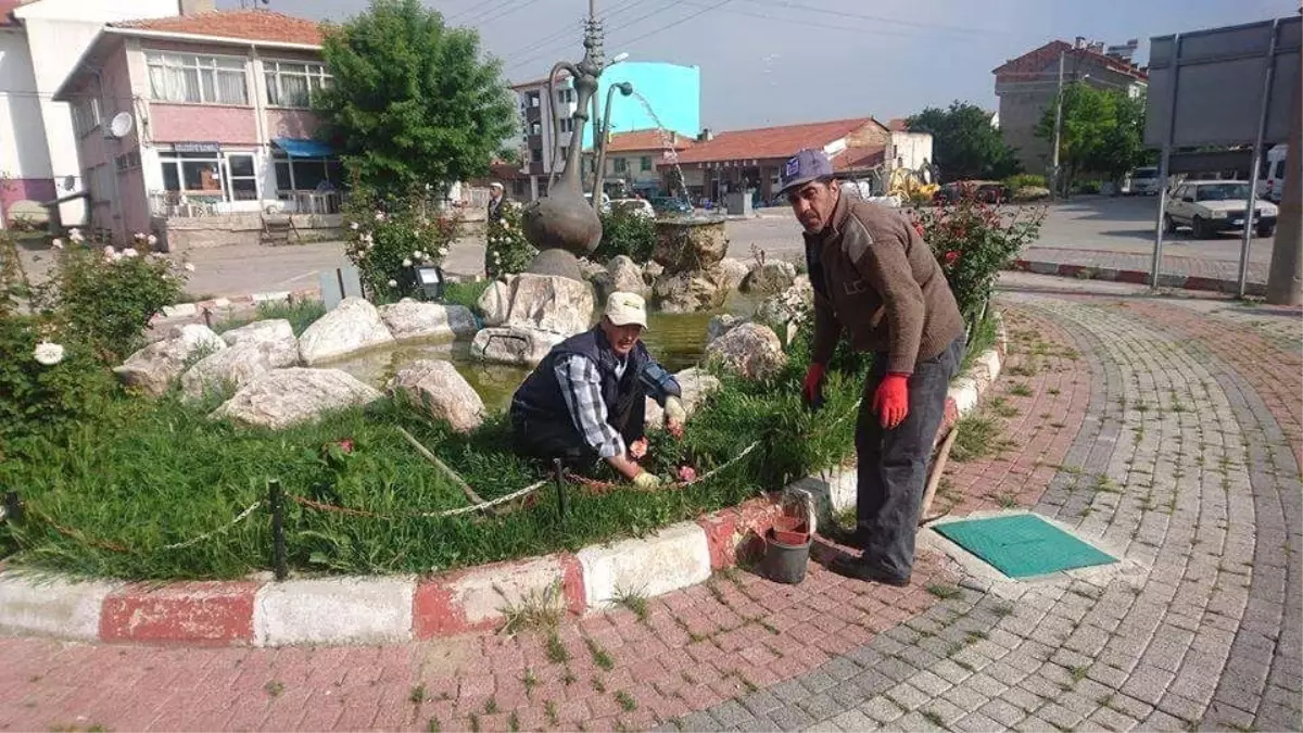 Aslanapa\'da Peyzaj Çalışmaları