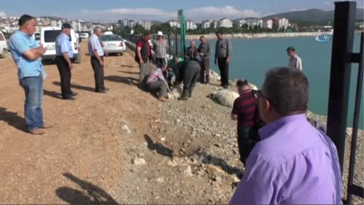 Beyşehir Gölü\'nde Yasak Bitti, Balıkçılar Dualar Eşliğinde Avlanmaya Çıktı
