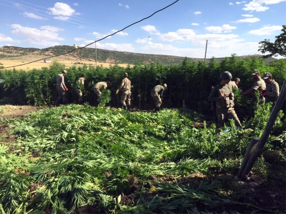 Diyarbakır\'da Teröre Darbe Üstüne Darbe