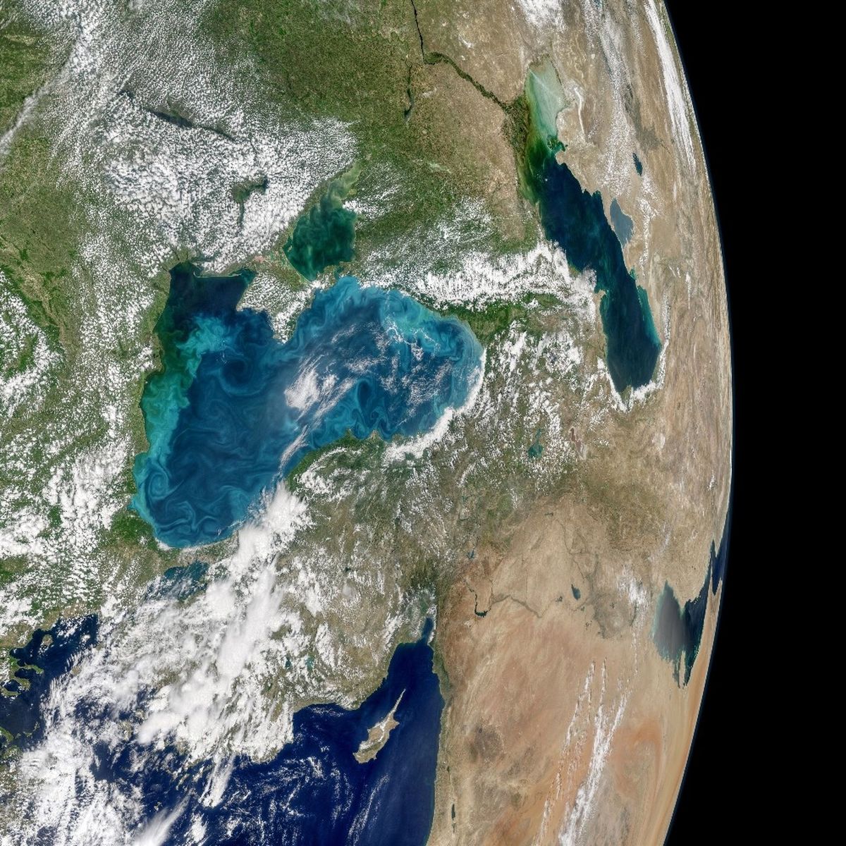 Karadeniz\'de Turkuaz Akıntıları