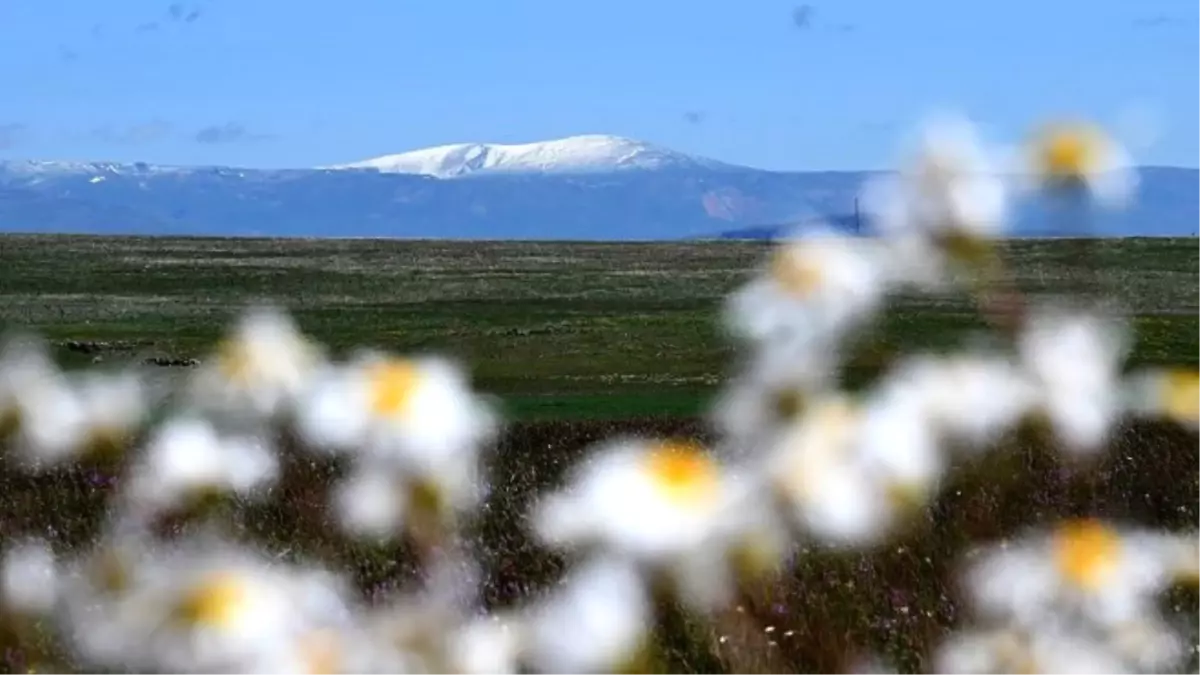 Kars\'a Haziran Ortasında Kar Yağdı