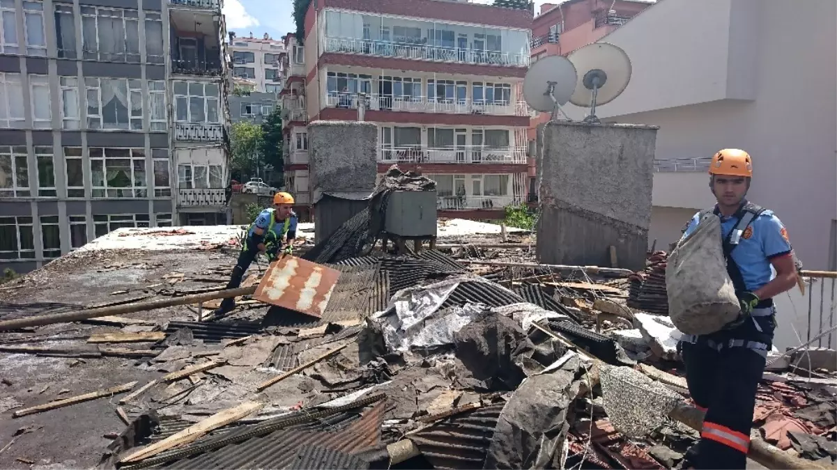 Kore İzin Verdi, Kediler Kurtarıldı