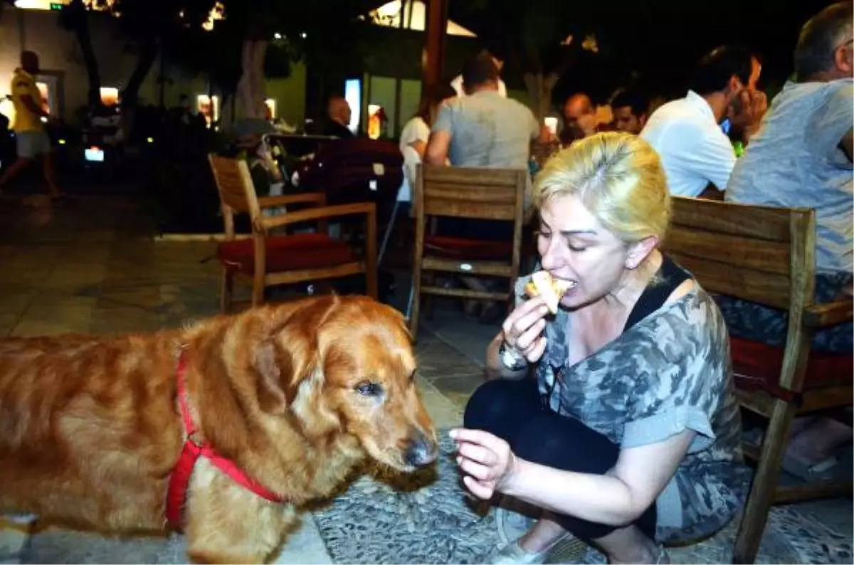 Muazzez Ersoy Köpeğine de Pizza Yedirdi