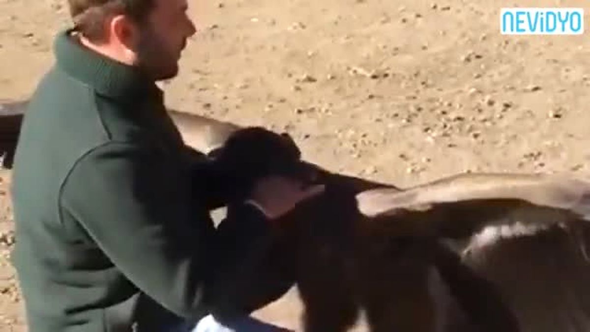 Yavrusunu Kurtaran Adama Böyle Teşekkür Etti