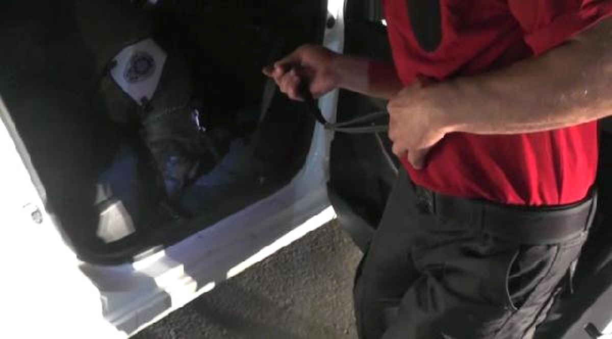 Alfa\' Otomobile Gizlenen Uyuşturucuyu Buldu