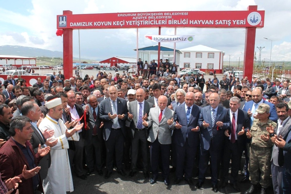 Başkan Şengül: "Yeni Hayvan Pazarları Fayda Sağlayacak"