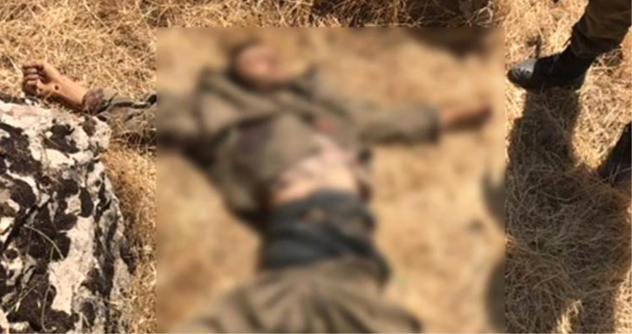Şemdinli\'de Ölü Ele Geçirilen PKK\'lı Teröristle Birlikte AT-4 Tanksavar Ele Geçirildi