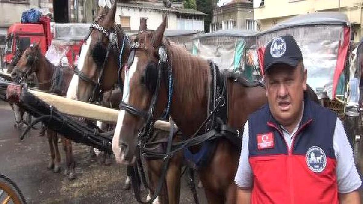 Adalar Faytoncularına Tek Tip Kıyafet