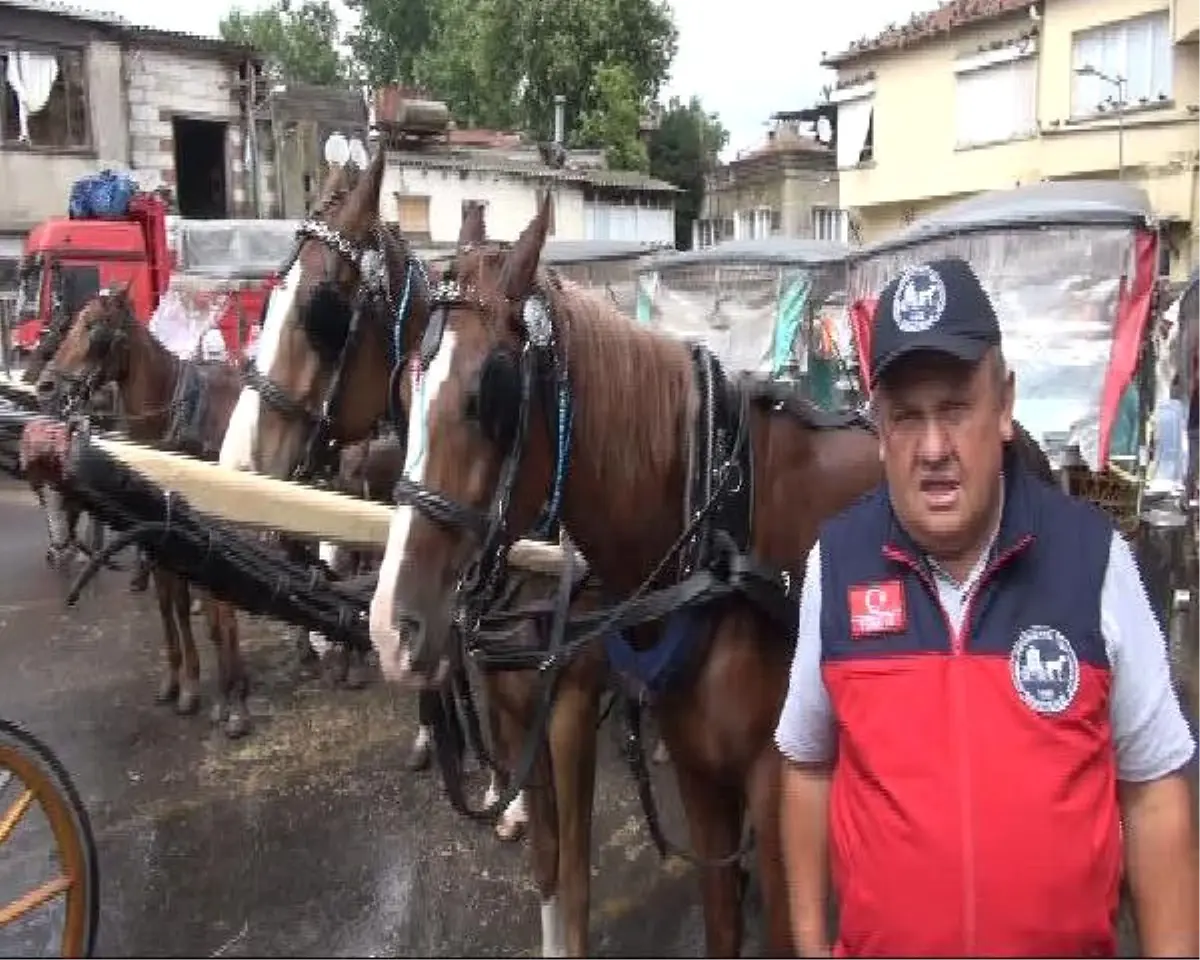 Adalar Faytoncularına Tek Tip Kıyafet