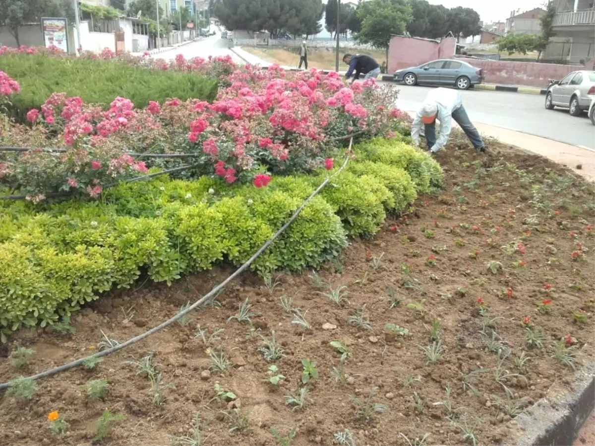 Alaşehir Parkları Güzelleşiyor