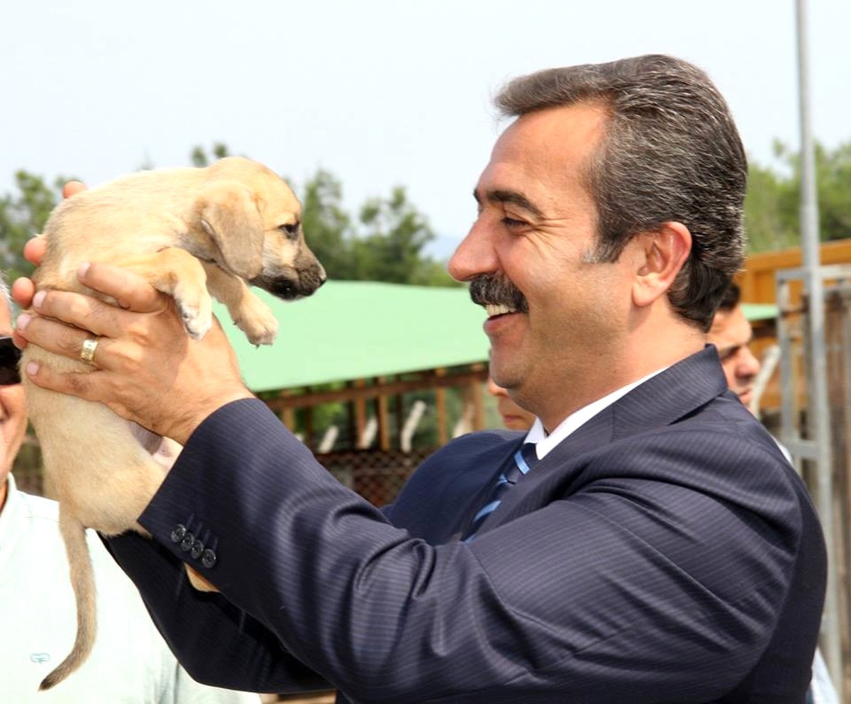 Çukurova\'dan Sokak Hayvanlarına Otomatik Suluk
