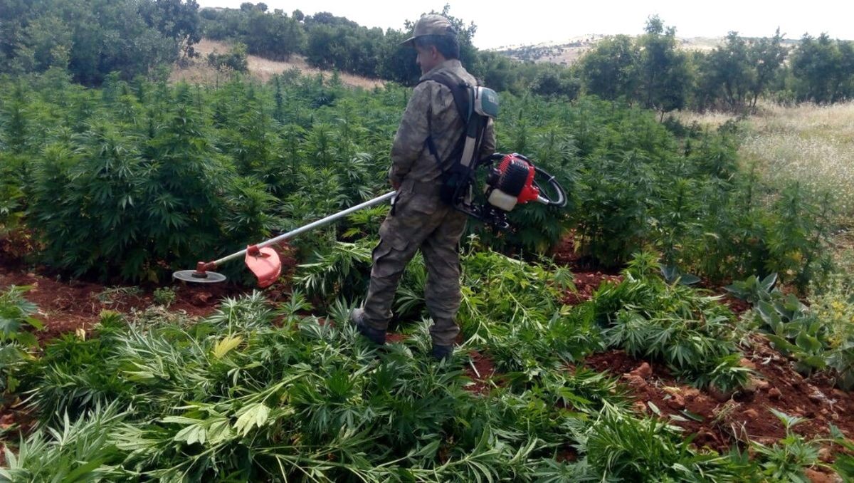 Diyarbakır Kırsalında Büyük Operasyon Sürüyor