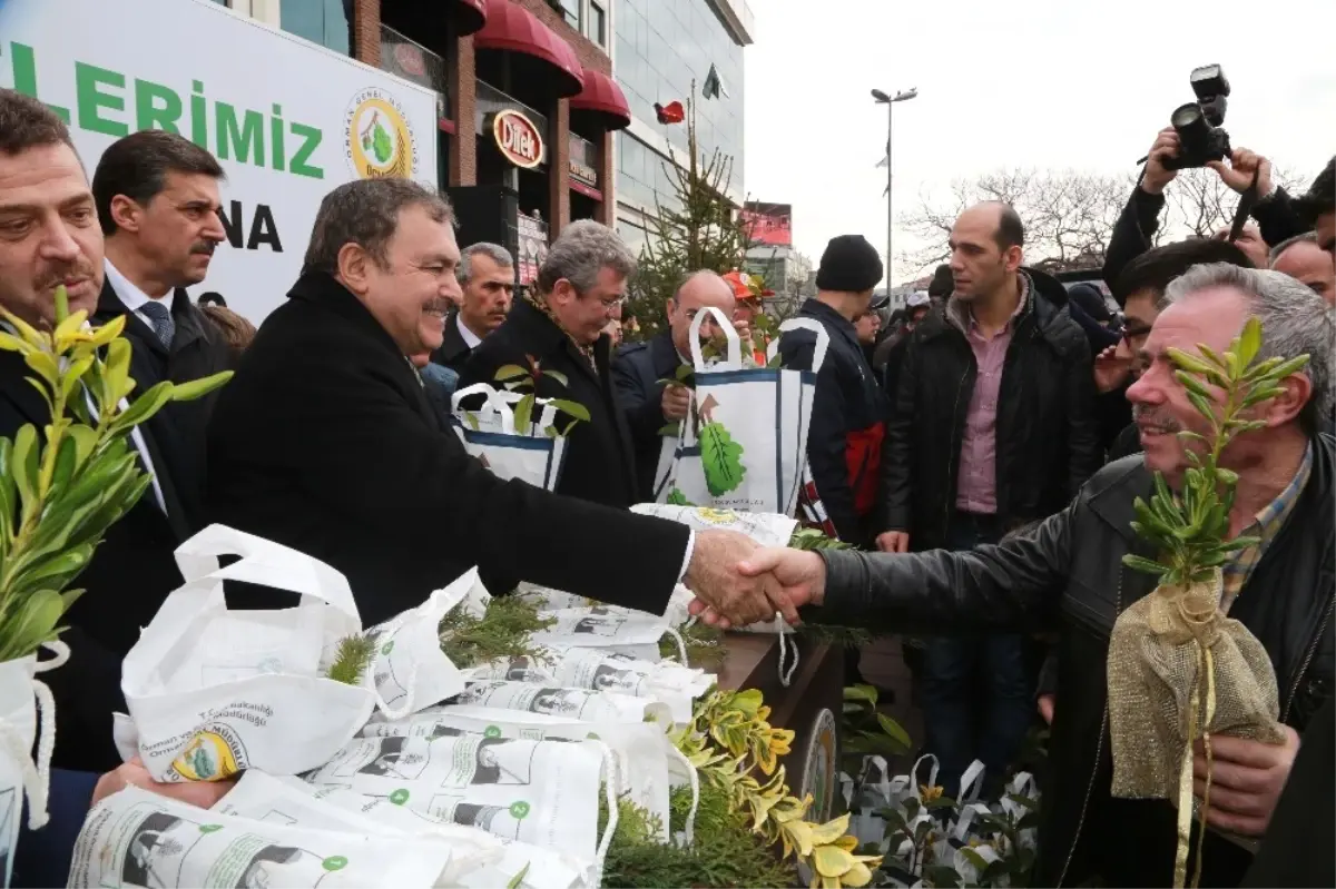 Orman Bakanlığı Türkiye\'yi Yeşillendirmeye Devam Ediyor