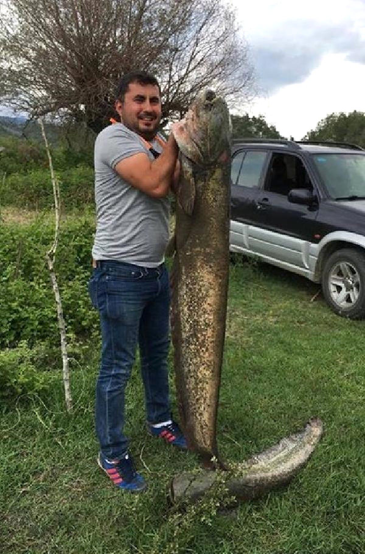 Amasya\'da Dev Yayın Balığı Tutuldu