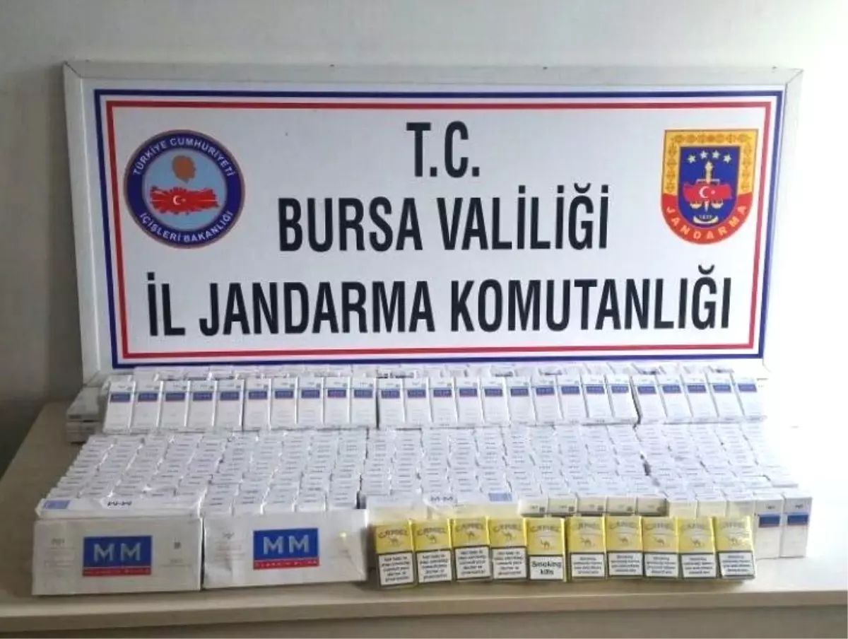 Bursa\'da Jandarma Kaçak Sigaraya Geçit Vermedi