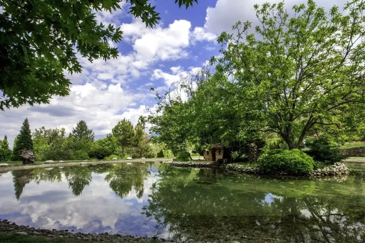 Büyükşehir\'den 3. Ulusal Fotoğraf Yarışması