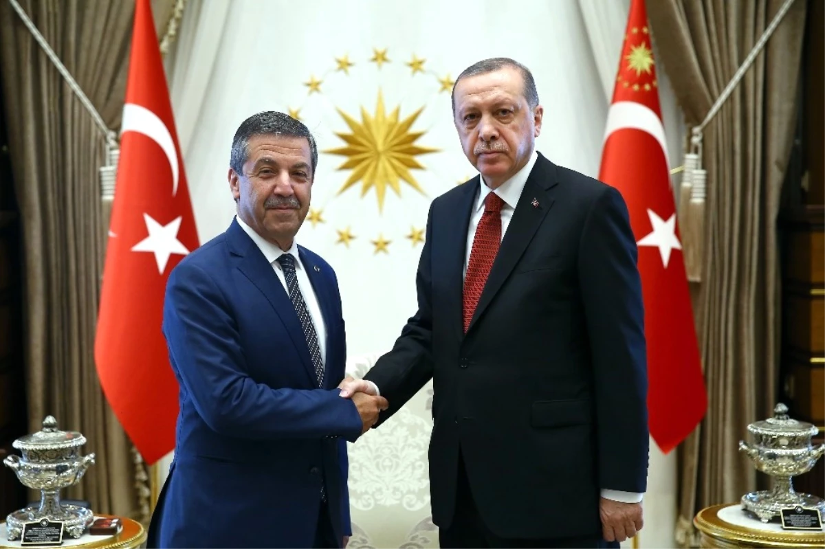 Cumhurbaşkanı Erdoğan, KKTC Dışişleri Bakanını Kabul Etti