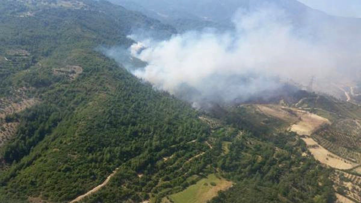 Hatay\'da Orman Yangını