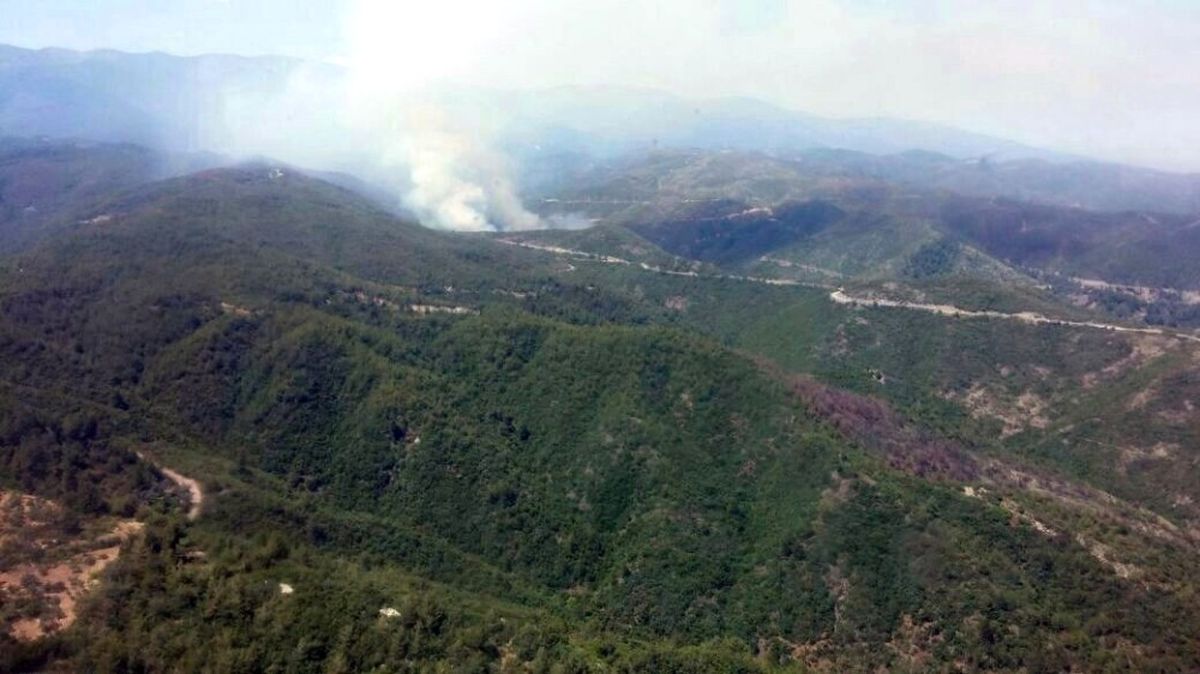 Hatay\'da Orman Yangını