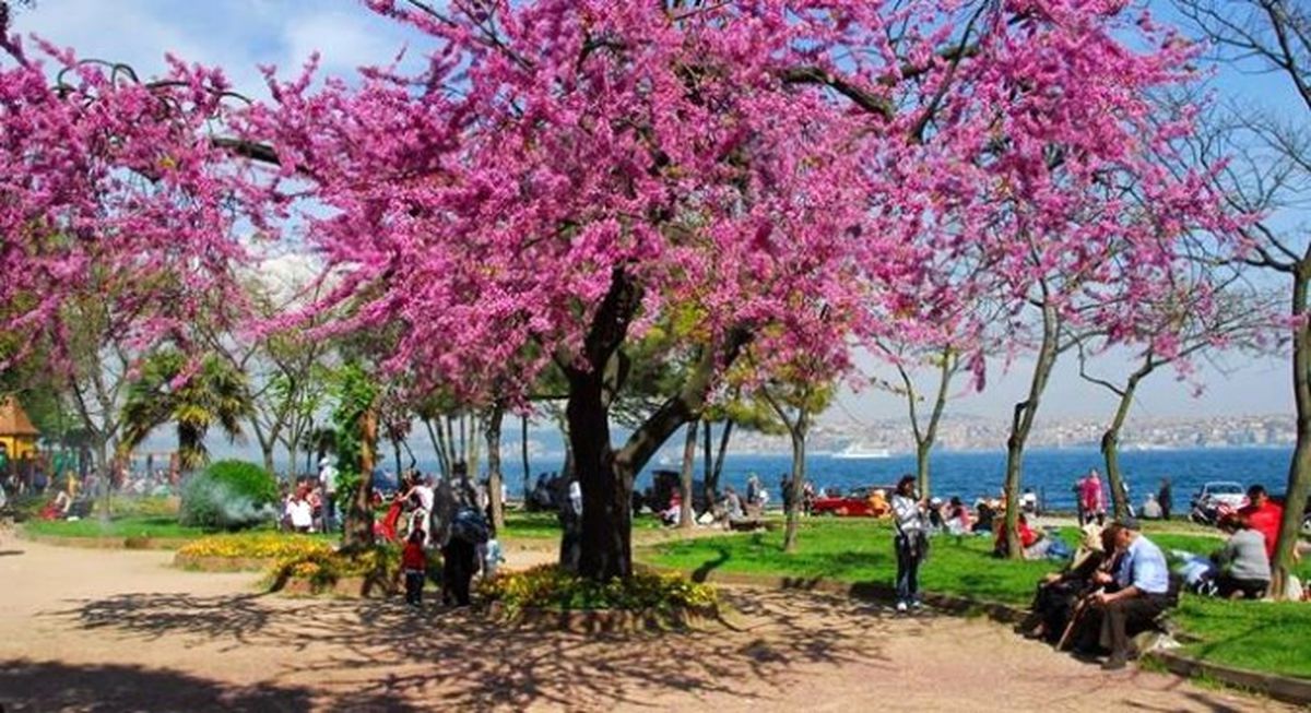 Hava Sıcaklığı Batıda Artıyor