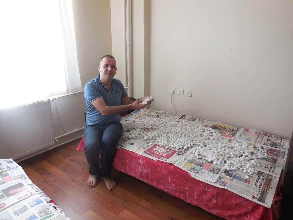 İpek Böceği Yetiştiricisinin İlk Hasat Heyecanı