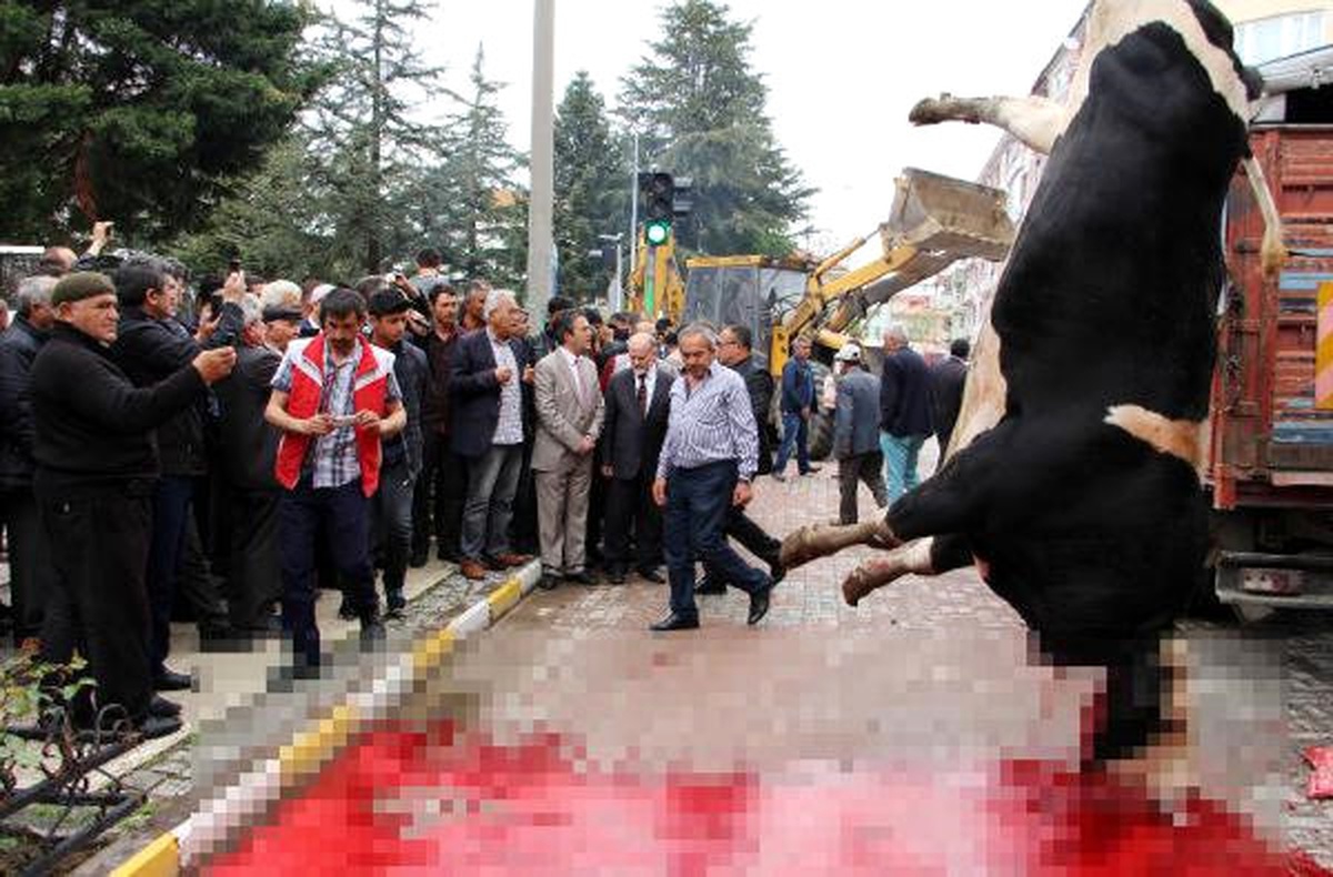 Isparta Yol Ortasında Kurban Kesen Belediyeye 8 Bin Lira Ceza (Arşiv)