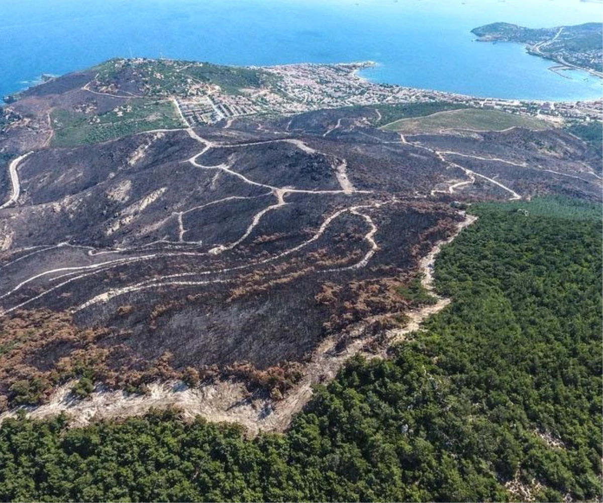 Kızıldağ Doğaseverlerin İlgi Odağı Oldu