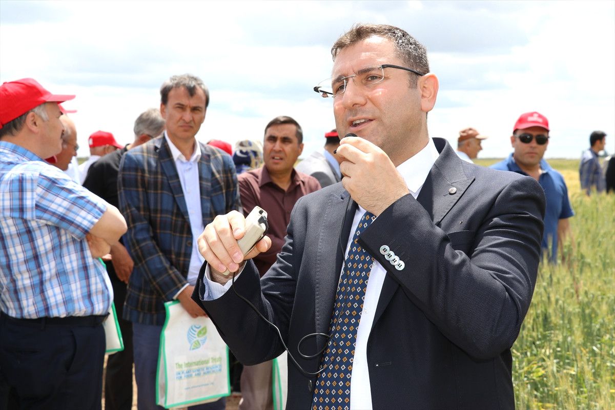 Konya\'da "Yerel Buğday Tarla Günü" Etkinliği