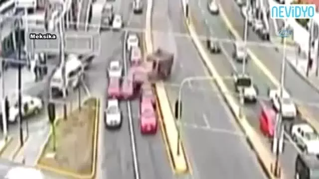 Üç yol: evde deniz yuvası yağı nasıl yapılır Üç yol: evde deniz yuvası yağı nasıl yapılır