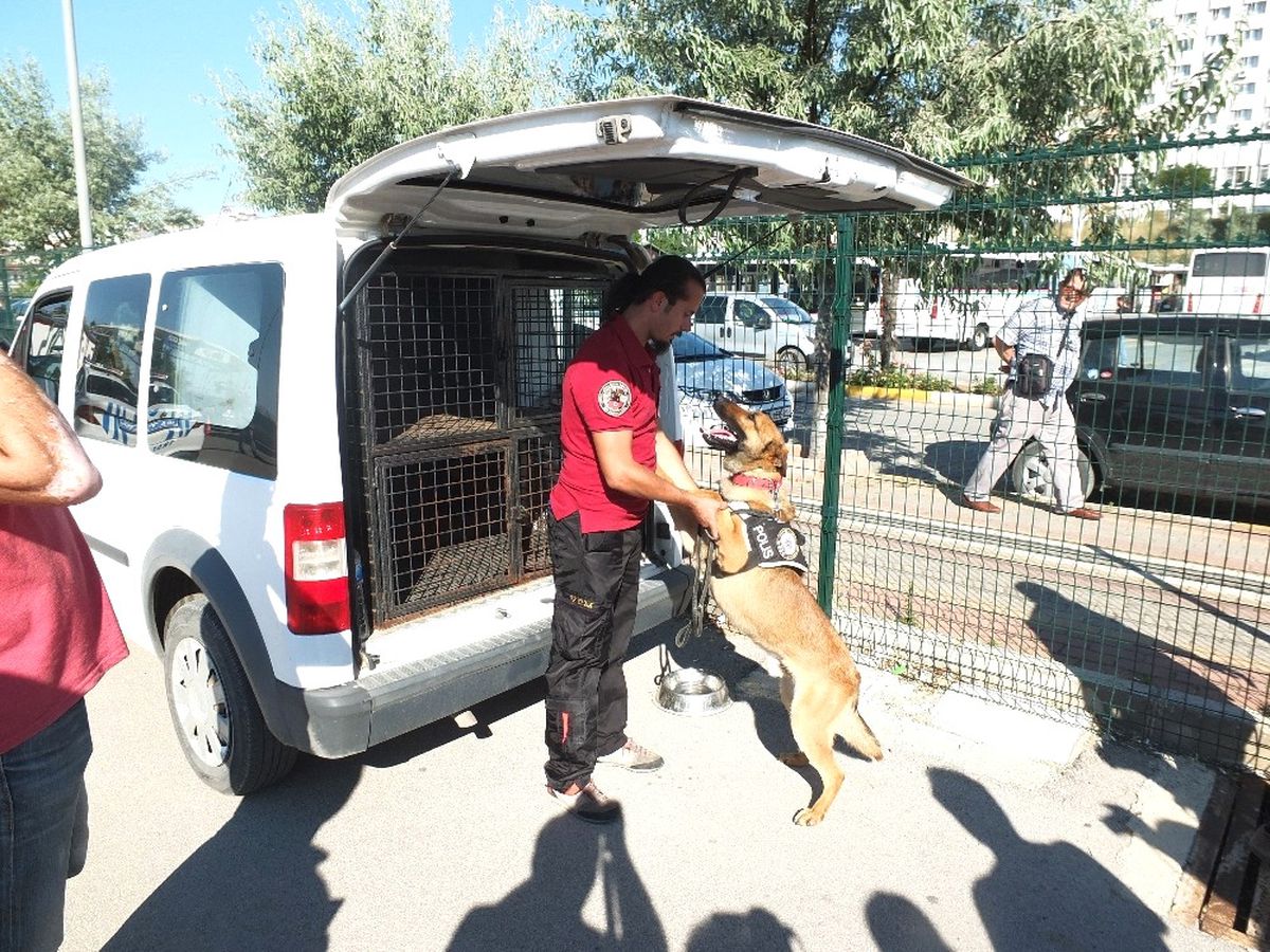 Bayram Tatili Öncesi Tatil Beldelerinde Olağanüstü Güvenlik Tedbiri