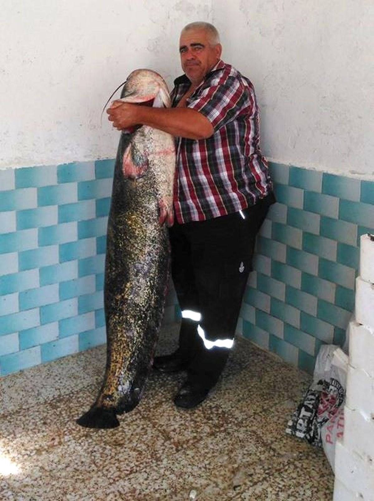 Amatör Balıkçıya Rast Geldi; Boyu Kadar Balık Tuttu