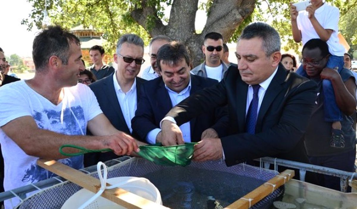 Çanakkale\'de 2 Bin Levrek Yavrusu Denize Bırakıldı