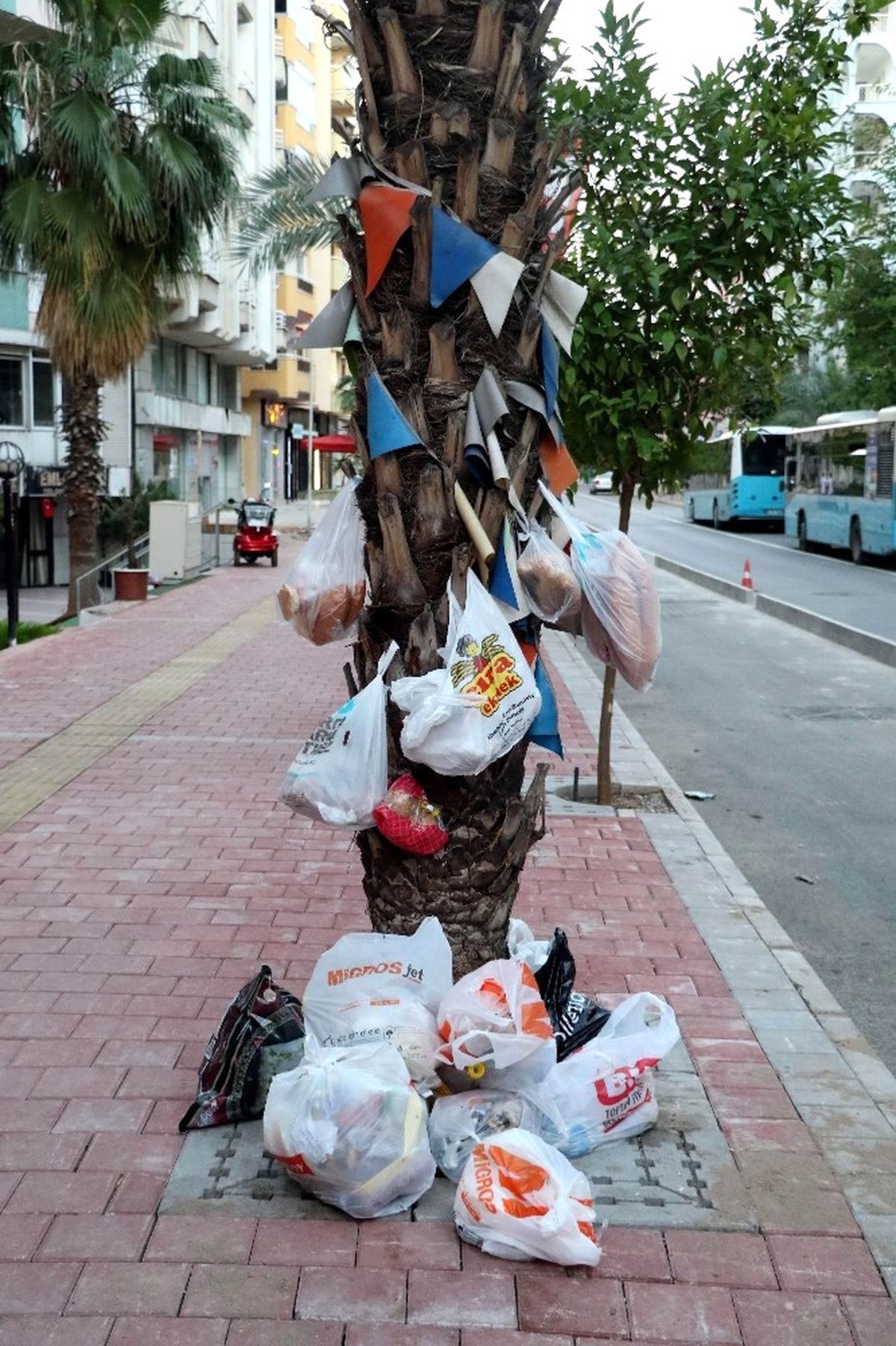 Dilek Değil Çöp Ağacı