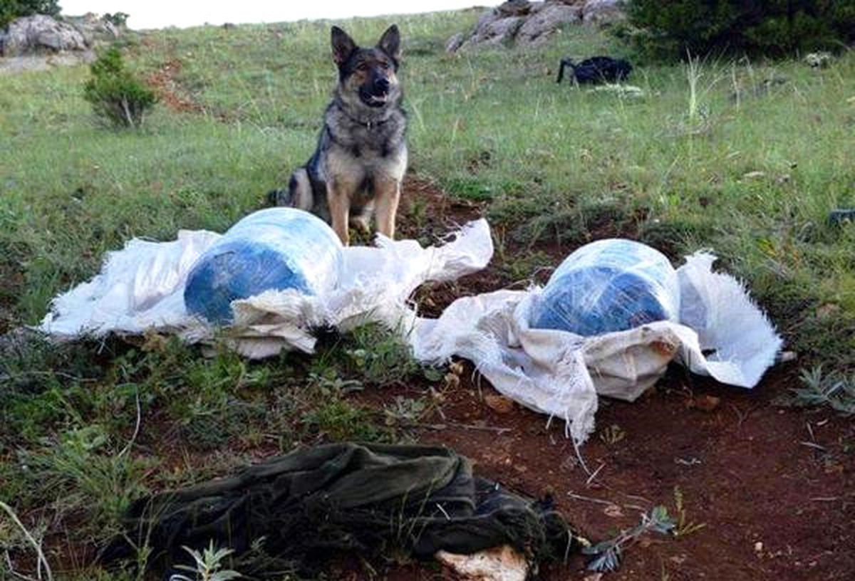 Erzincan\'da 40 Kilo Amonyum Nitrat Ele Geçirildi