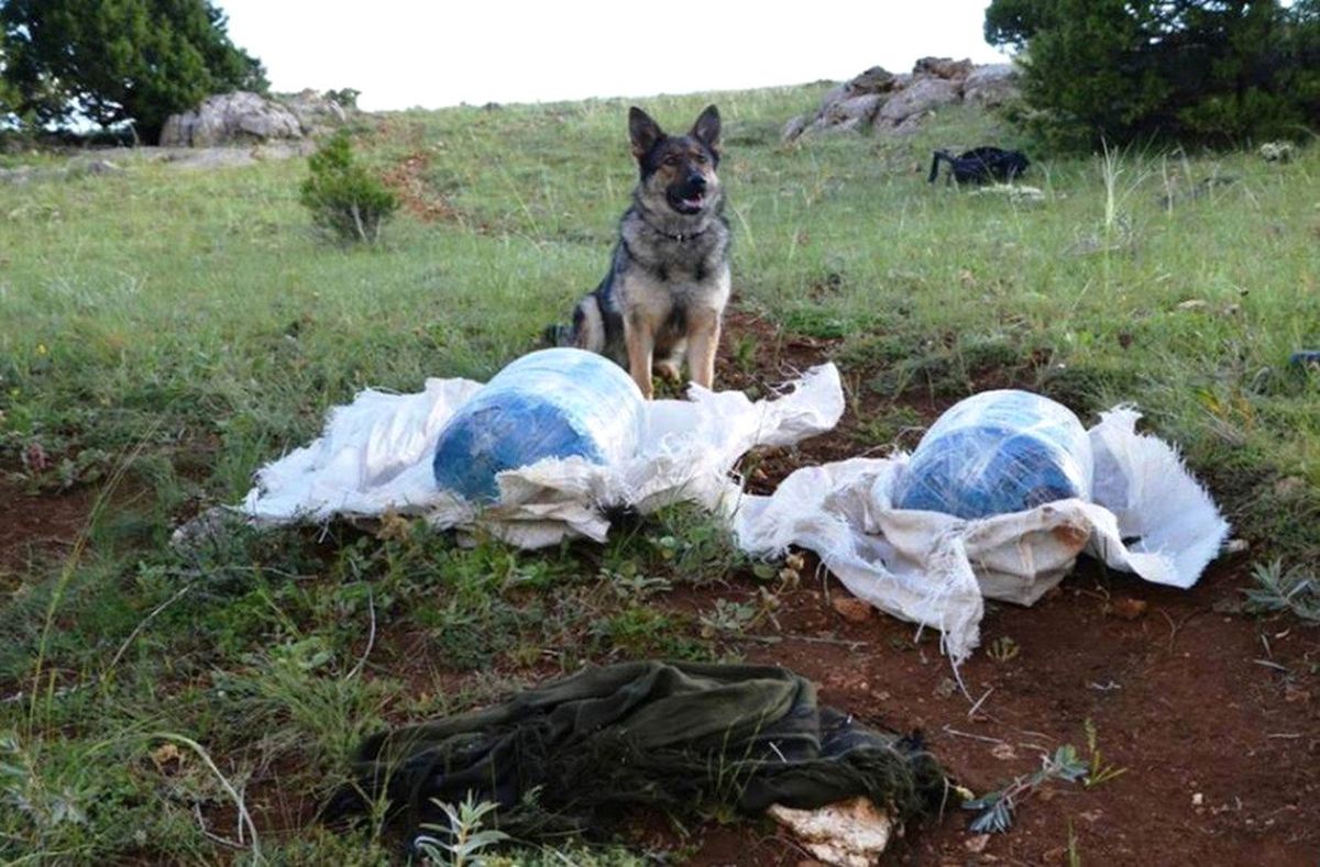 Erzincan\'da 40 Kilo Amonyum Nitrat Ele Geçirildi