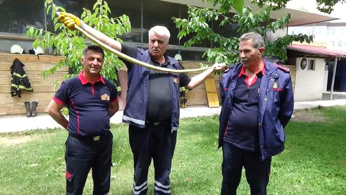 Evin Bahçesine Giren Yılan Yakalandı