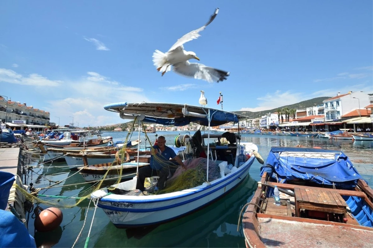 Foça Belediyesi Deniz Öyküleri Ödülü\'ne Başvurular Uzatıldı