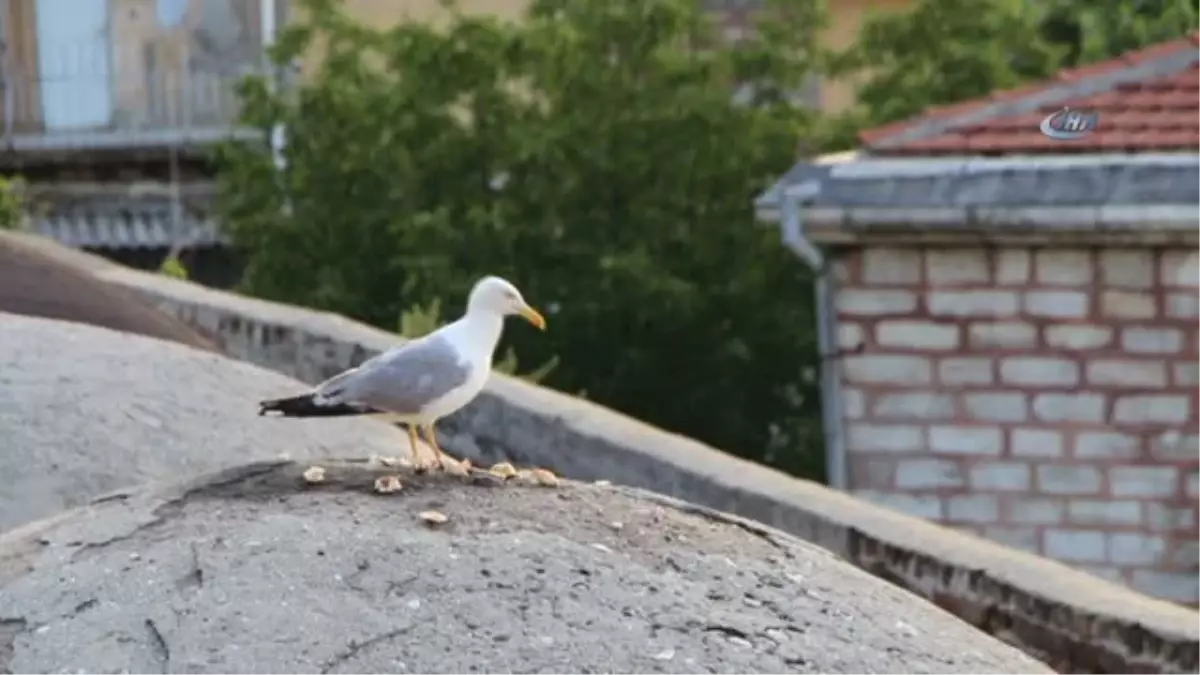 İstanbul\'da Gün Batımında Mest Eden Görüntüler