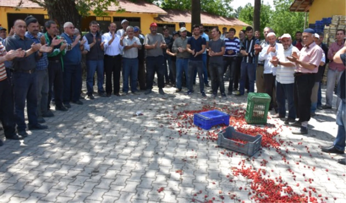 Kiraz Üreticisinden Fiyat Tepkisi