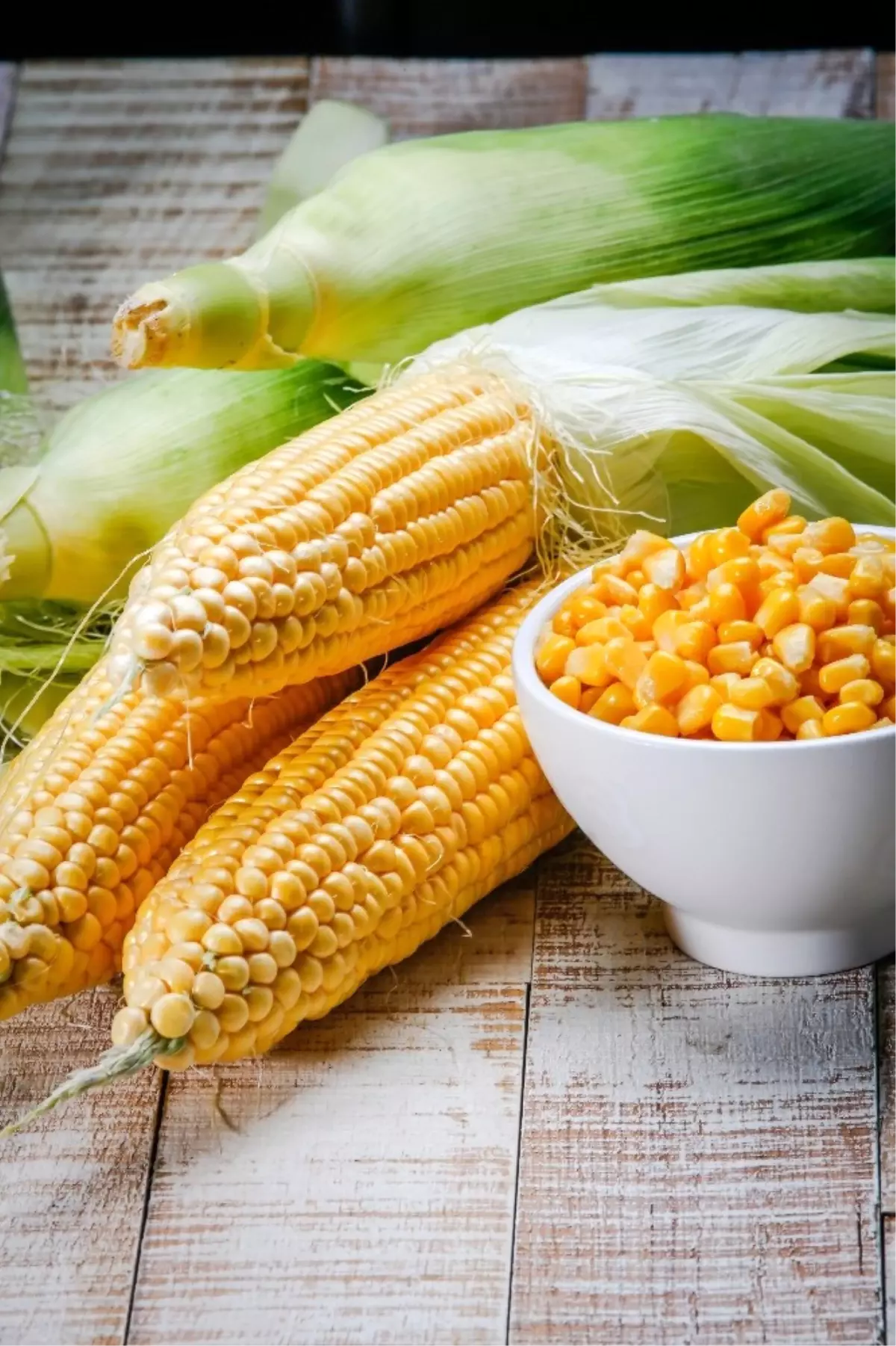 May Tohum\'dan Türkiye\'nin En Tatlı Mısır Çeşitleri