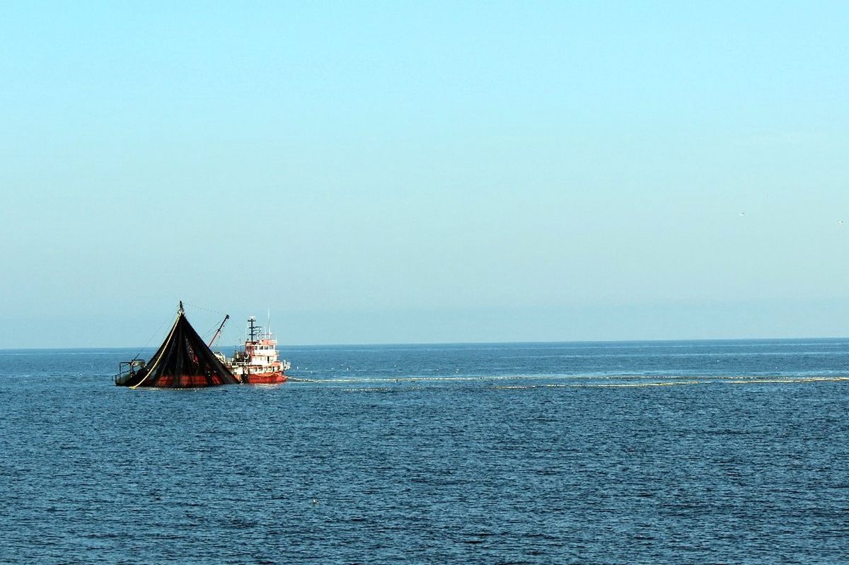 Ordu\'da Balık Avı Azaldı