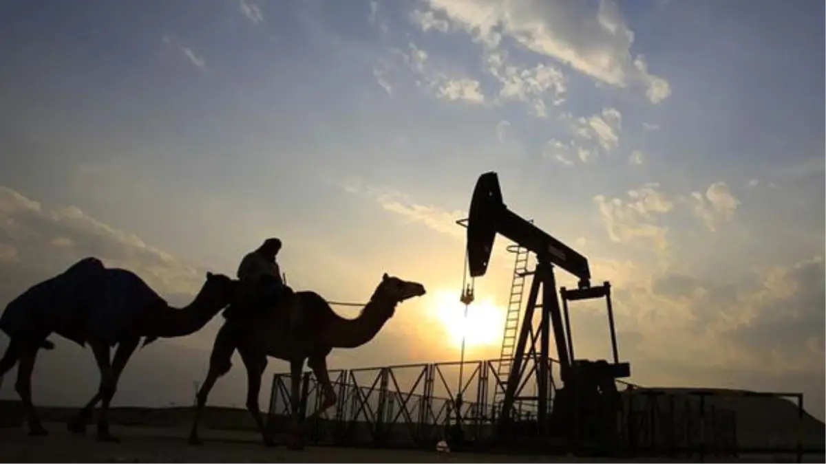 Suudi Arabistan 15,000 Katar Devesini Sınır Dışı Etti