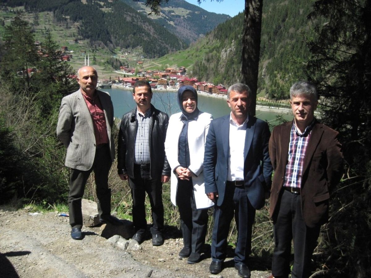 Uzungöl\'e Seyir Terası Projesi
