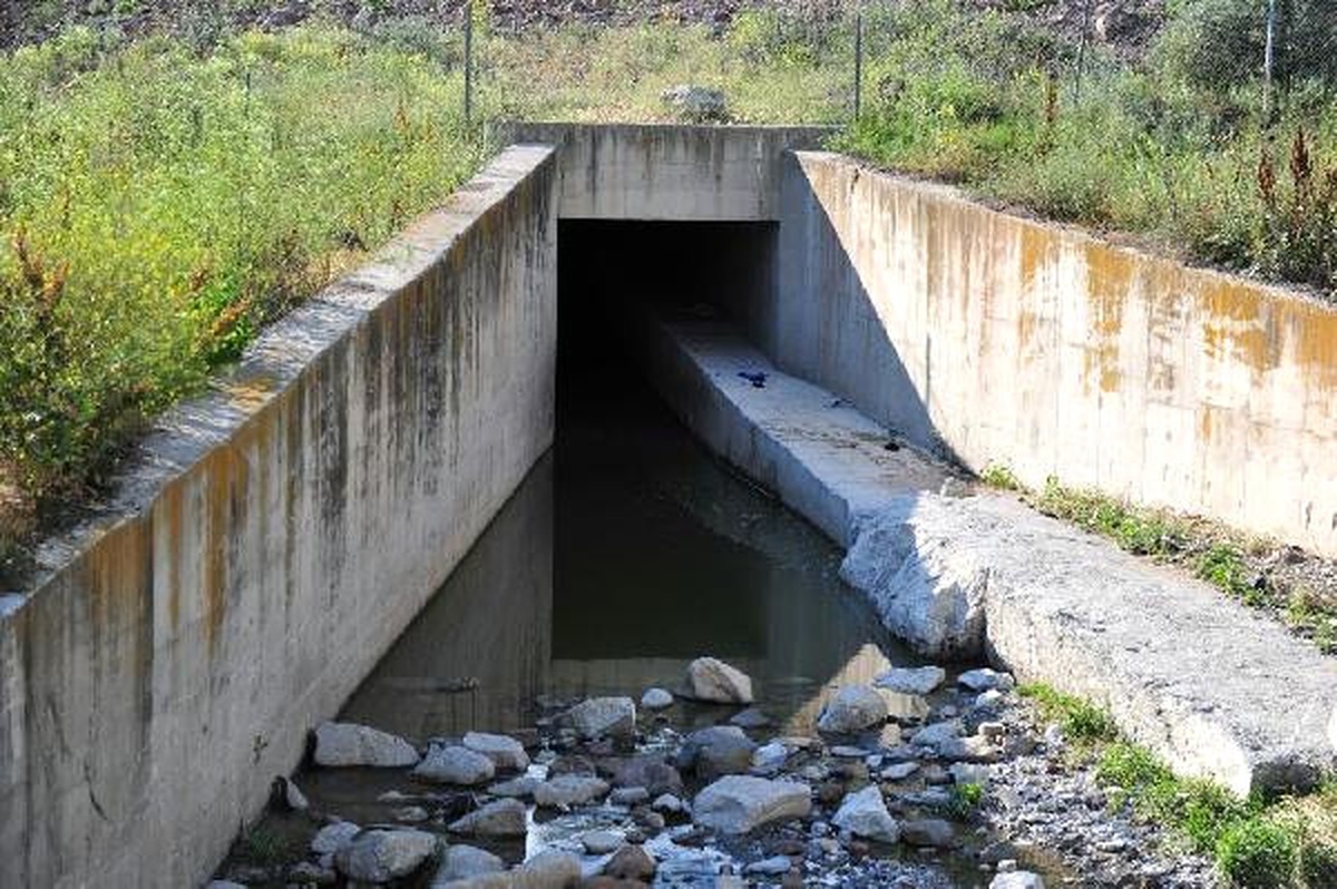 Ankara\'da Sulama Kanalına Giren 8 Yaşındaki Suriyeli Çocuk Boğuldu