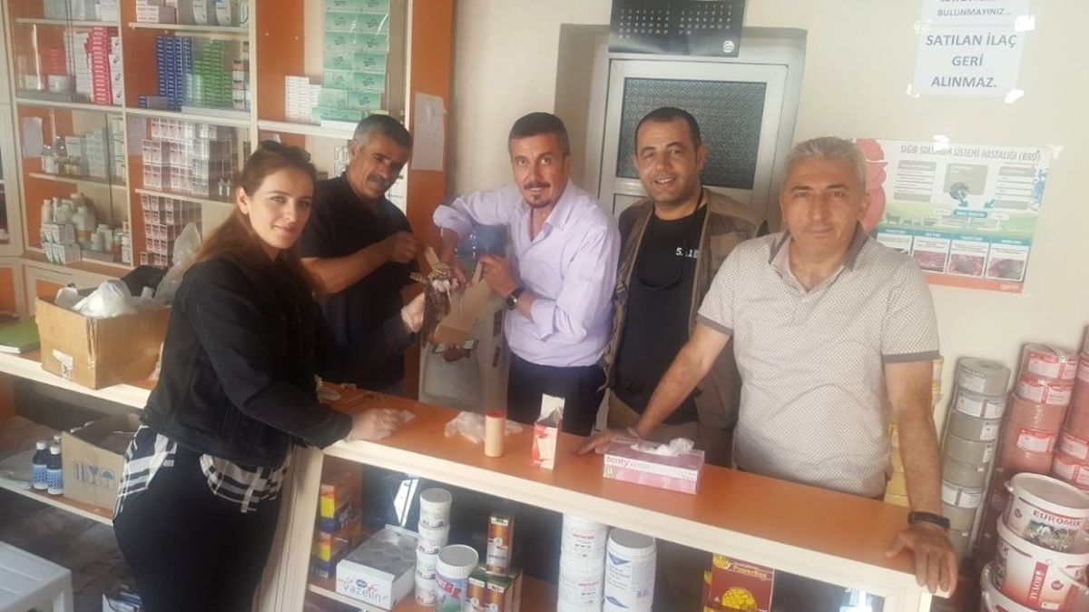 Çoban Aldatan Kuşu Tedavi Altına Alındı