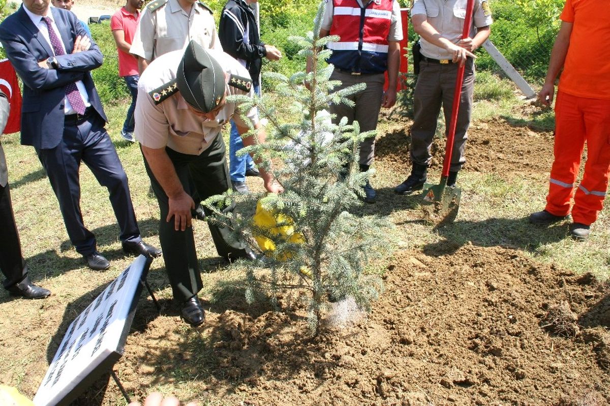 Jandarma Devrek\'te Ağaç Dikti