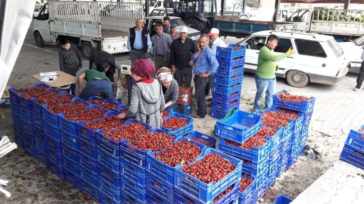 Şaphane\'de Kiraz Fiyatları Saatlik Değişiyor