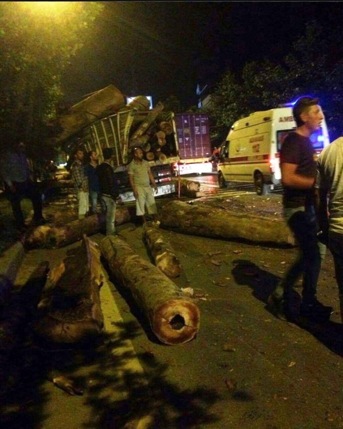 Tır\'lar Çarpıştı Tomruklar Saçıldı