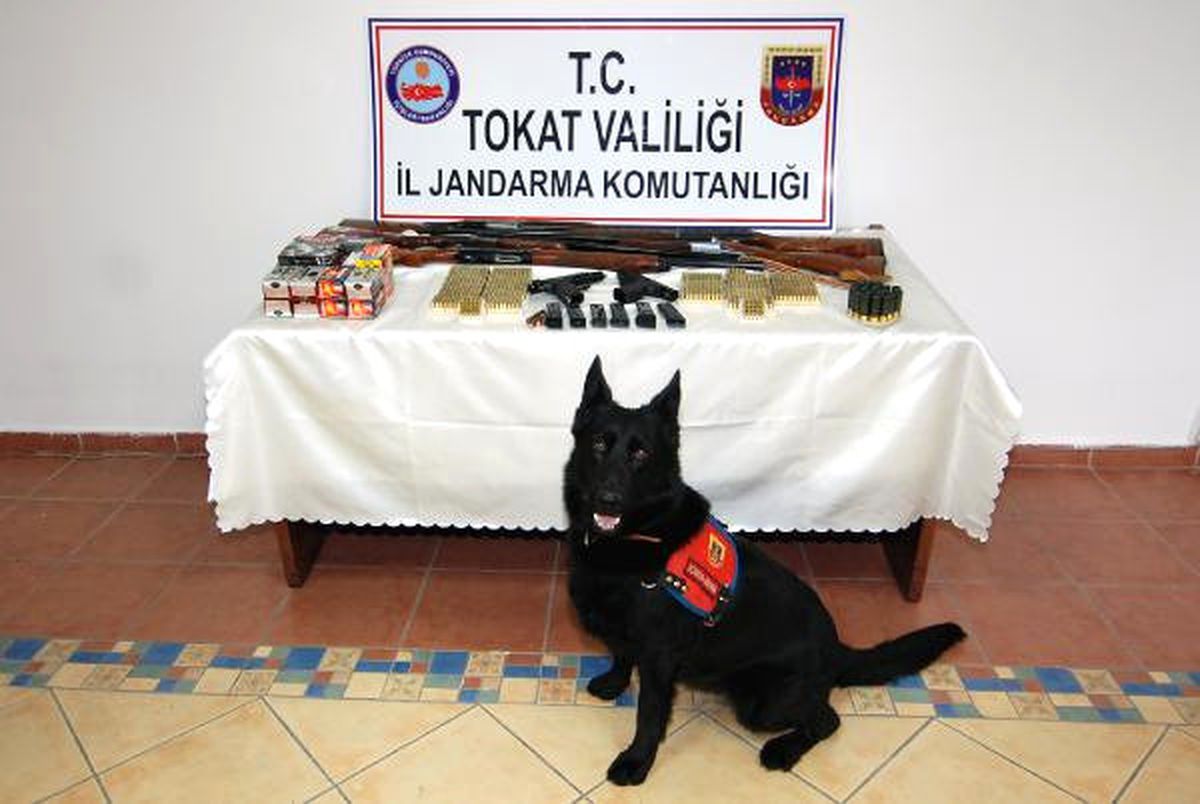 Tokat\'ta Jandarmadan Silah Kaçakçılığı Operasyonu